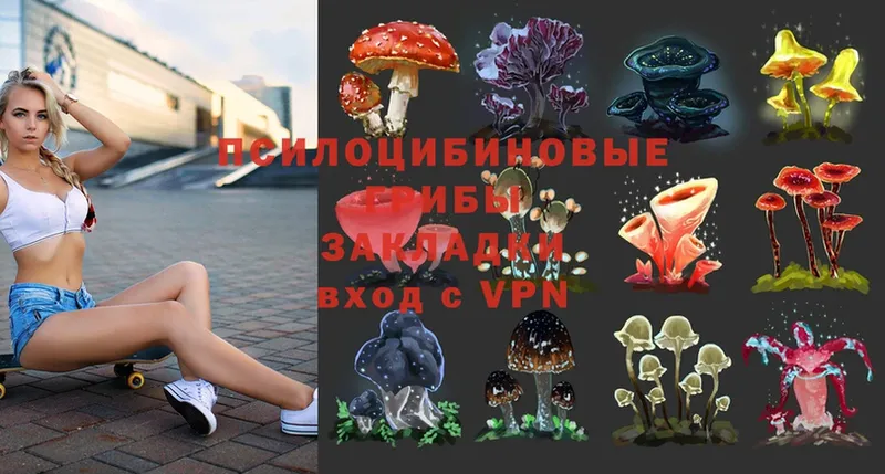 Псилоцибиновые грибы MAGIC MUSHROOMS  наркотики  Гаврилов Посад 