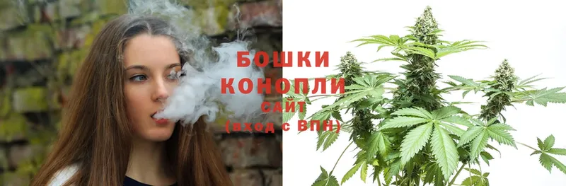 Бошки марихуана LSD WEED  закладка  Гаврилов Посад 